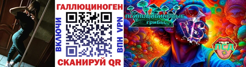Галлюциногенные грибы Psilocybine cubensis  Купить  Кулебаки 